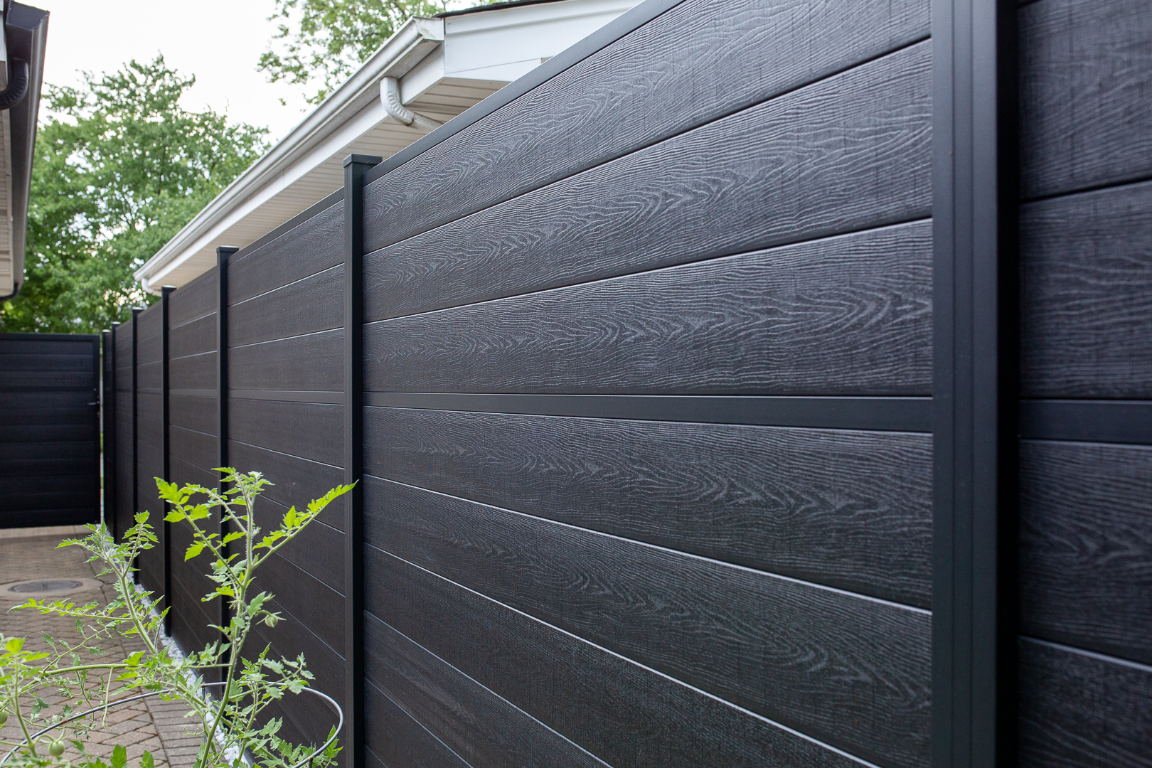 July fence -49